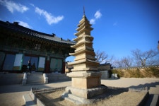 국가유산채널 > 참여 > 자료실 > 사진 자료 > 상세보기: 양양 낙산사 칠층석탑 (襄陽 洛山寺 七層石塔) 국가유산채널