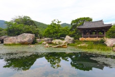 국가유산채널 > 참여 > 자료실 > 사진 자료 > 상세보기: [박준규 작가와 함께하는 사진전] 완도 묘당도 이충무공 유적, 보길도 고산 윤선도 원림... 