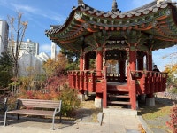 무장애 나들이 코스 동그라미가 다녀온 대전 선화동 힐링코스