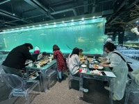 무장애 나들이 코스 이색적인 아쿠아가든 카페를 소개합니다.