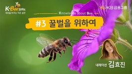 KB금융그룹 보도자료 | PR센터 - KB금융그룹 웹사이트