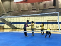 KB손해보험 스타즈 배구단