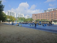 KB손해보험스타즈배구단