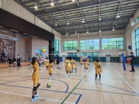 KB손해보험스타즈배구단