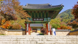 소비자시대 웹진 추풍낙엽의 계절, 붉게 물든 산사를 걷다