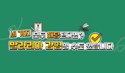 홍보지