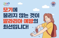 홍보지