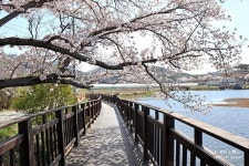 전국공무원노동조합 경남지역본부 진주시지부