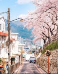 전국공무원노동조합 부산지역본부 영도구지부