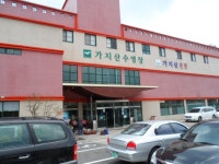전국공무원노동조합 부산지역본부 동구지부 2014년 경주벚꽃마라톤 참가
