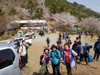전국공무원노동조합 부산지역본부 동구지부 2018.04.08 여수 영취산(1)