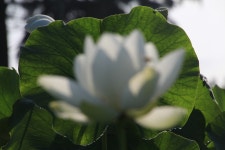 전국공무원노동조합 부산지역본부 북구지부 연 2