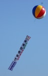 전국공무원노동조합 세종충남지역본부 부여군지부 2010세계대백제전 방문을 환영합니다.