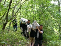 전국공무원노동조합 충북지역본부 괴산군지부