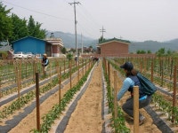 전국공무원노동조합 충북지역본부 괴산군지부