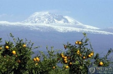 전국공무원노동조합 세종충남지역본부 논산시지부