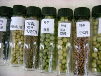 전국공무원노동조합 중앙행정기관본부 농촌진흥청지부