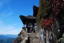 전국공무원노동조합 부산지역본부 사하구지부 가을 나들이-하동, 구례,.....