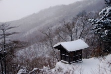 전국공무원노동조합 부산지역본부 사하구지부 눈구경하이소~~