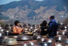 전국공무원노동조합 부산지역본부 사하구지부 지난 봄에...