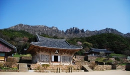 전국공무원노동조합 부산지역본부 사하구지부 지난 봄에...