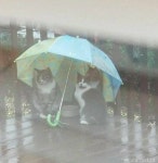 전국공무원노동조합 경남지역본부 양산시지부