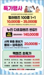 전국공무원노동조합 부산지역본부 연제구지부 [지부협약] 아이컬렉션 위드렌즈 특가행사 알림