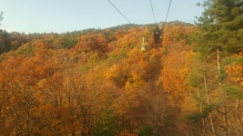 전국공무원노동조합 경북지역본부 영천시지부