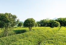 한국수력원자력 웹진 :: KHNP 플러스+