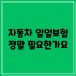자동차일일구주 | 자동차 일일보험, 정말 필요한가요?