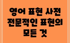 영어 표현 사전: 전문적인 표현의 모든 것