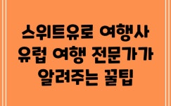 스위트유로 여행사, 유럽 여행 전문가가 알려주는 꿀팁!
