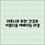 대추나무 추천: 건강과 아름다움을 선사합니다!