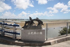 KJCLUB - ★조금！해안선을 사이클링　＾