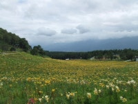 KJCLUB - 야츠카타케(yatsugatake) club