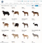 KJCLUB - 개를 파는 차 가게 