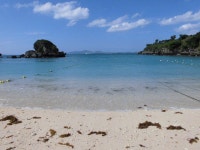 KJCLUB - レモン（lemon）バター（butter）他