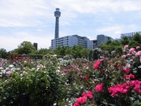 KJCLUB - 전편 히카와환(역사가 있는 문화재의 여객선) 외 KJCLUB - 전편 히카와환(역사가 있는 문화재의 여객선) 외 