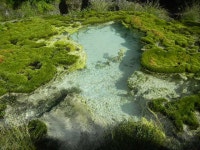 KJCLUB - 숲과 온천외 KJCLUB - 숲과 온천외 