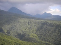 KJCLUB - 숲과 온천외 KJCLUB - 숲과 온천외 