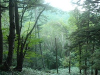 KJCLUB - 숲과 온천외 KJCLUB - 숲과 온천외 