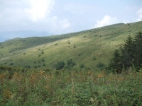 KJCLUB - 숲과 온천외 KJCLUB - 숲과 온천외 