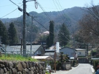 KJCLUB - 桜の花見（hanami）旅行７