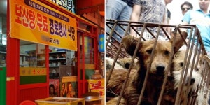 KJCLUB - 한국기행