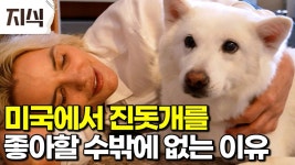 KJCLUB - 한국도 이제 예쁜 개가 있구나