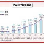 해양수산해외산업정보포털 일본 대중국 으로선어 수출 10년 전 대비 19배 급증, 소득향상으로 고급어 수요 증가