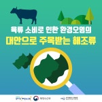 해양수산해외산업정보포털 <육류 소비로 인한 환경오염의 대안으로 주목받는 해조류>