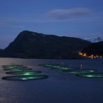 해양수산해외산업정보포털 <양식장에 인공지능 분야의 일종인 머신러닝(Machine Learning)기능을 적용하는 스타트업 기업, 3백 5십만... 