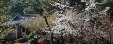 계명대학교