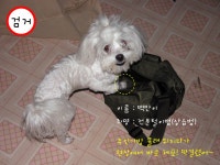 다카로 범인(?) 잡다..... > 나의 인스타K - KMUG 케이머그